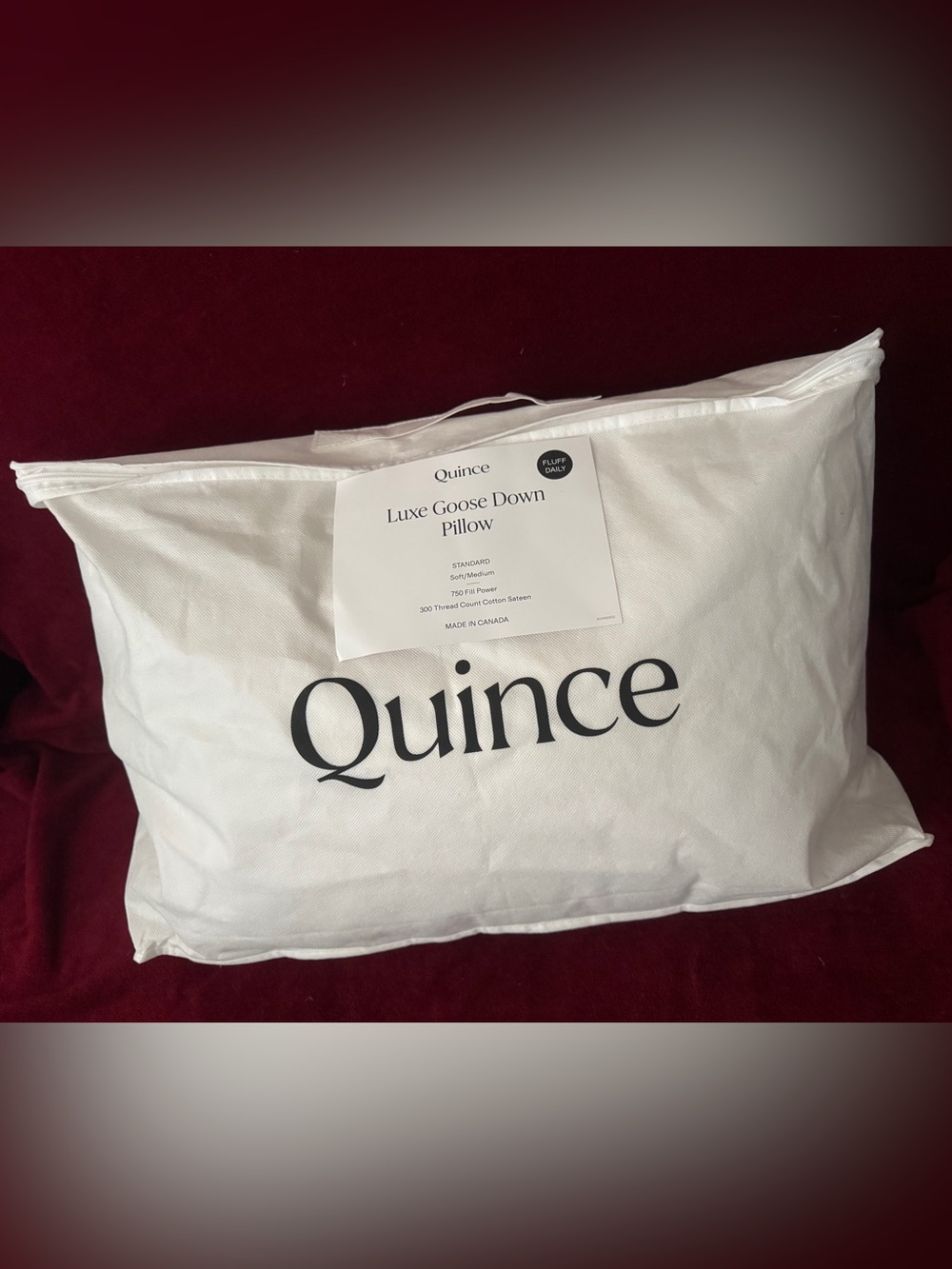 Quince White & Cream Luxe goose Down Pillow